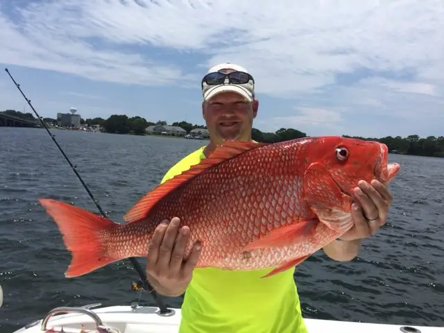 Champion Charters