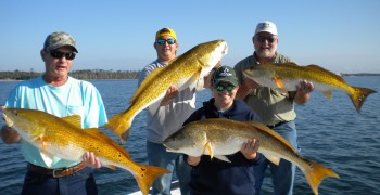 Full Net Fishing Charters
