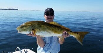 Full Net Fishing Charters