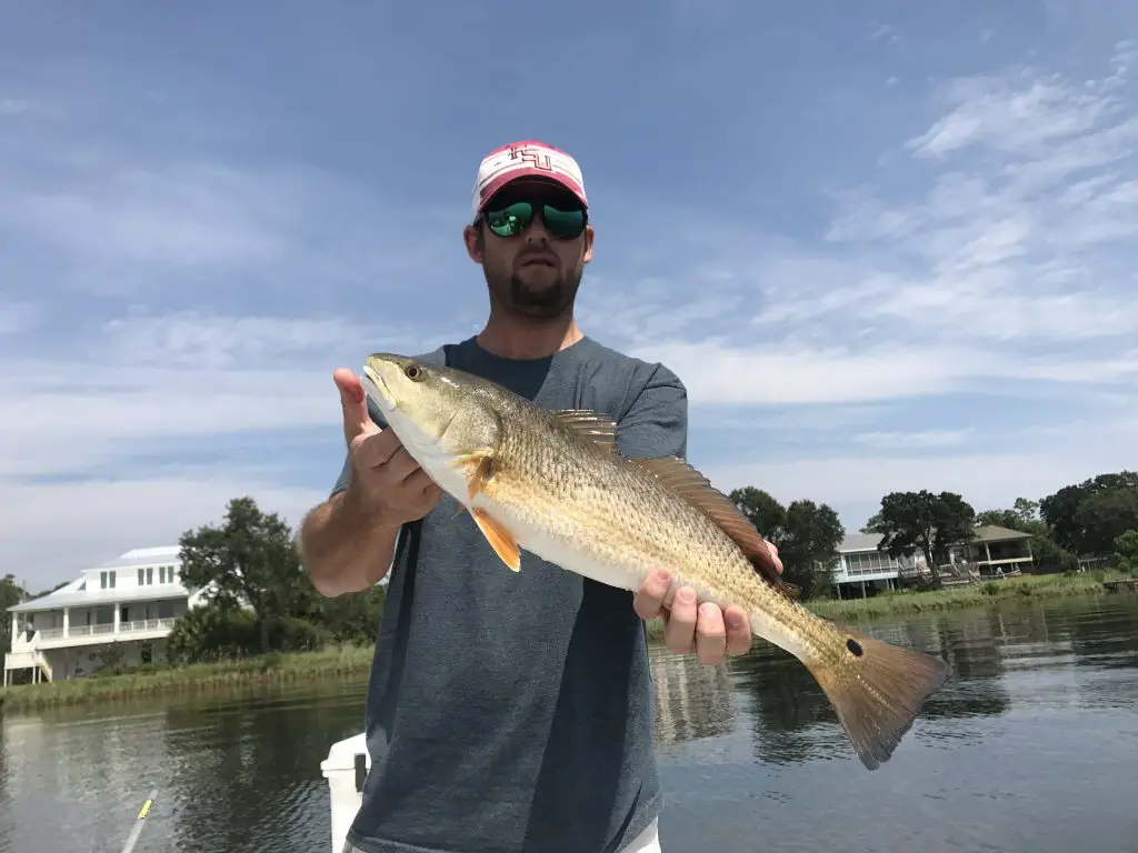 Showintale Inshore Charters
