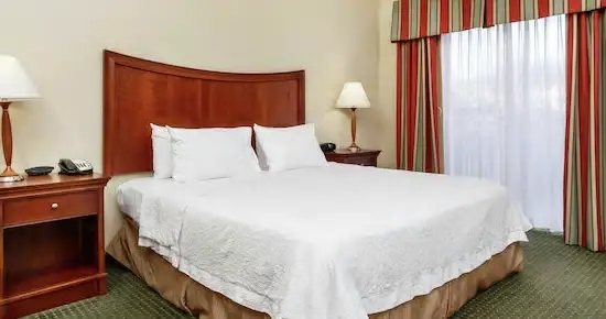 1 King Suite bed