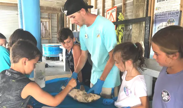 Shark Science