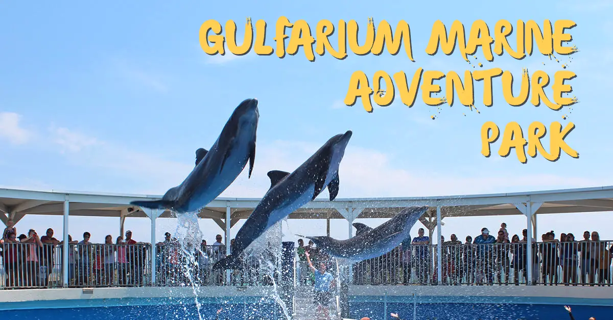 Gulfarium Marine Adventure Park