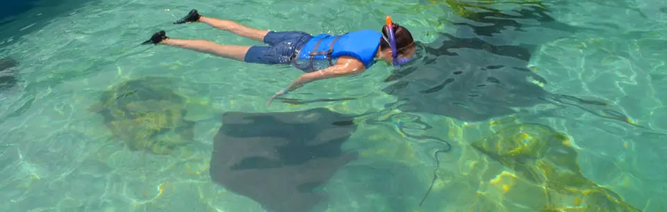 Gulfarium Stingray Bay Snorkel