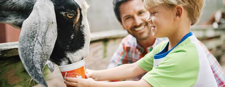 Gulf Breeze Zoo Farm