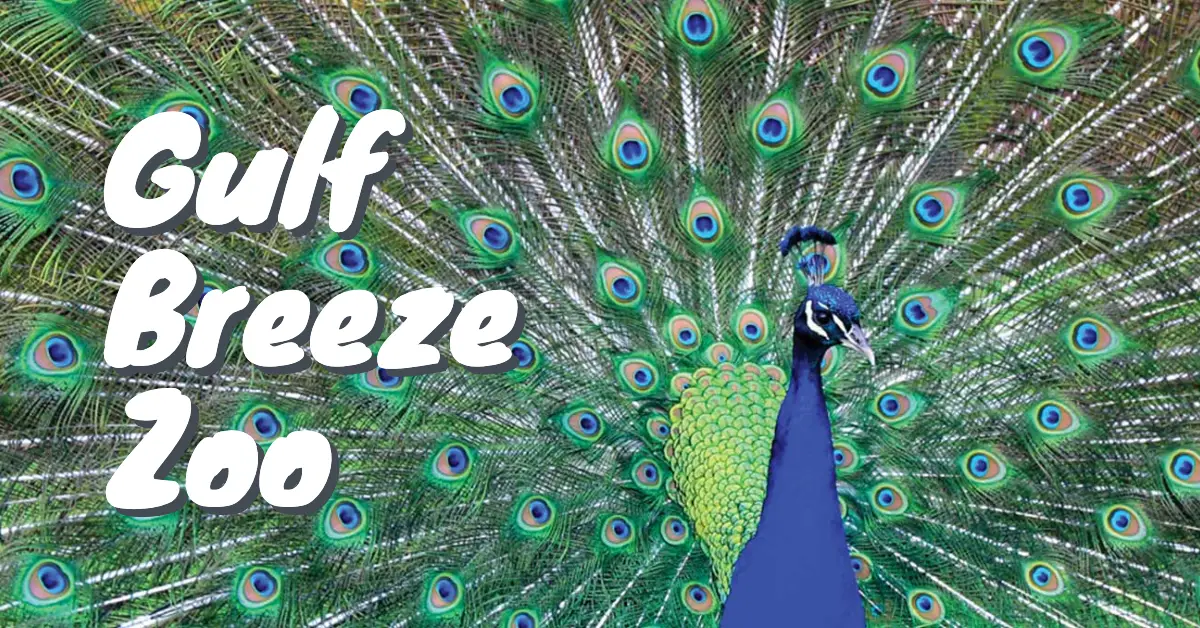 Gulf Breeze Zoo