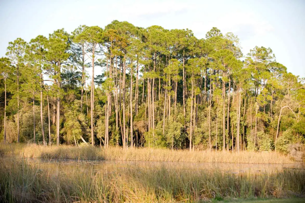 Deer Lake State Park