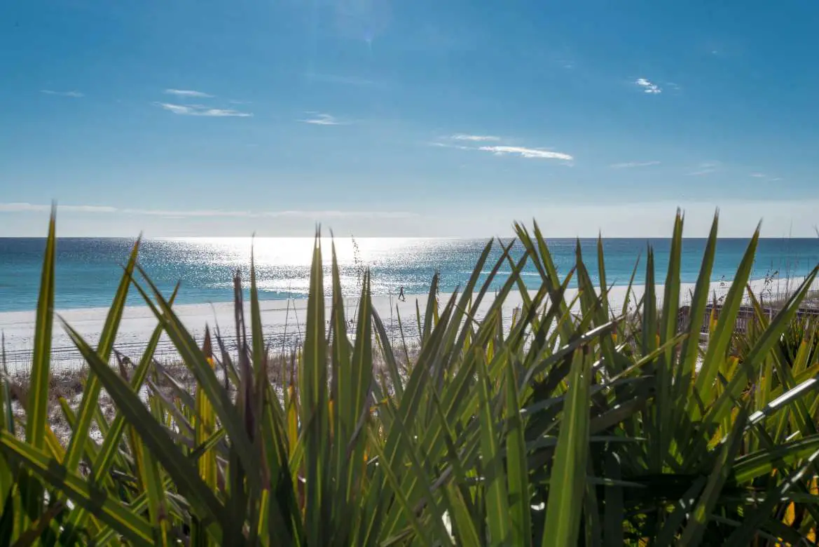 Miramar Beach
