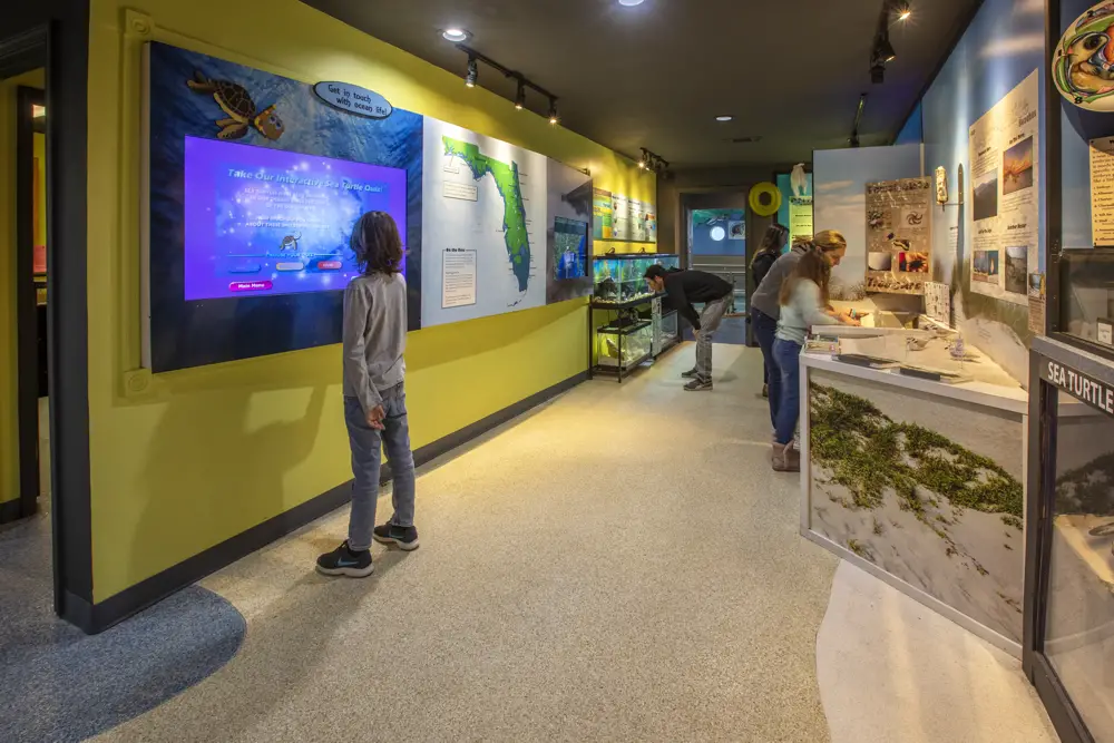 Navarre Beach Sea Turtle Conservation Center Education