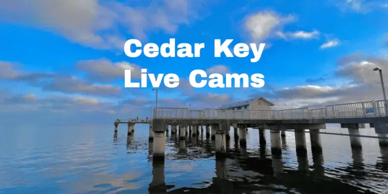 Cedar Key Live Cam at 83 West & 29 (Updated 2023)
